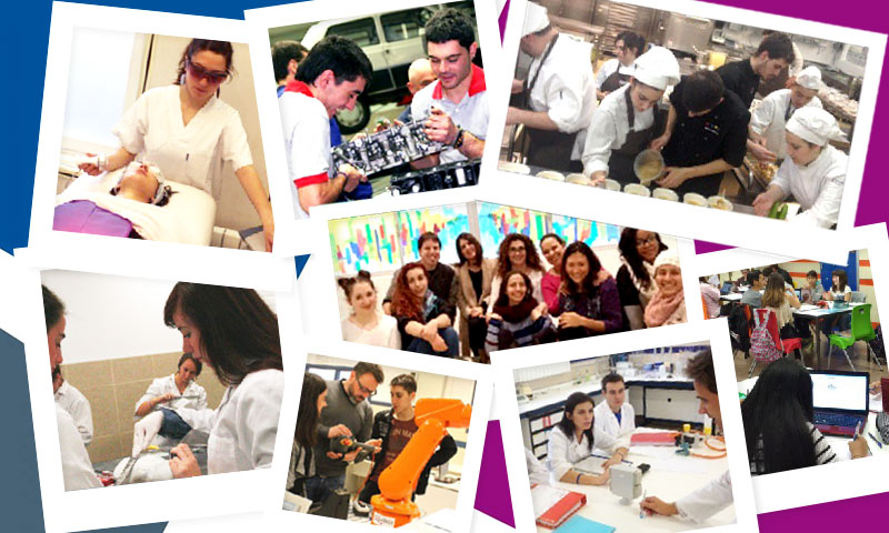 MOVILIDAD SOSTENIBLE: VEHÍCULO HÍBRIDO Y ELÉCTRICO